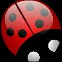 l_ladybug_l