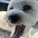 hydro_ow#7943's avatar