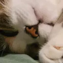 rlydisturbed