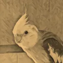 s0nikkukun