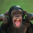 Bob Soda(98% Chimpanzee) discord avatar
