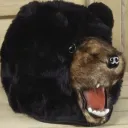 kantankerous