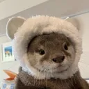 yugitoe
