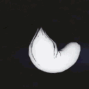 pfp