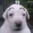 gnomeseph