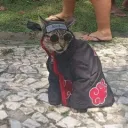 fedrik