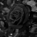 _j35u5_