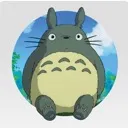 dmtotoro