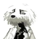 tumordog