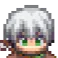 dukerevier