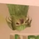 iskios.