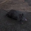 chikntendie