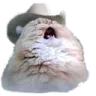 wiebie_