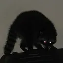 kabiryuu