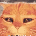 ldshadowlady
