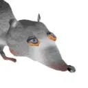 ketsoup