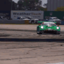 snipe981
