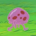 jelly0373