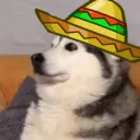 kasuromi