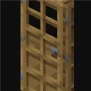 backwasch