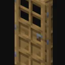 backwasch