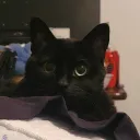 lyriumpyro