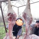 https://cdn.discordapp.com/avatars/188364245811855361/7434007e72ffcc1cbeaf05c788b0f7ee.jpg?size=128