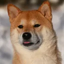 weewee000