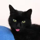 jodieeee