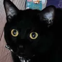 natedeolive
