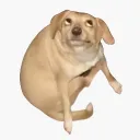 maxacar