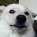 laopak#2597's avatar