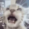 taken_login