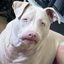 sixteensinister member profile picture