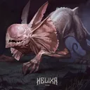 shirag