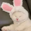 ssnub