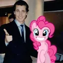 hailzstar
