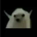 tekoh