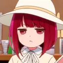 plaub