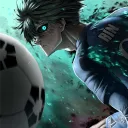 shindoyt