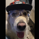 fs0747#6447's avatar