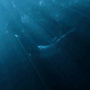 o7nimbus