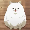 _rooth