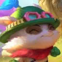 shroomdoctor