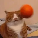 senorjon