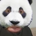 jebulol