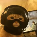 tarkov