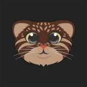 bronzemanul