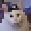 avatar Dorian "l'Otocyon" C.