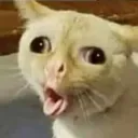 wazanoob